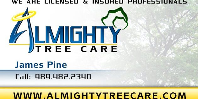 ALMIGHTY-CARD-B-630x315