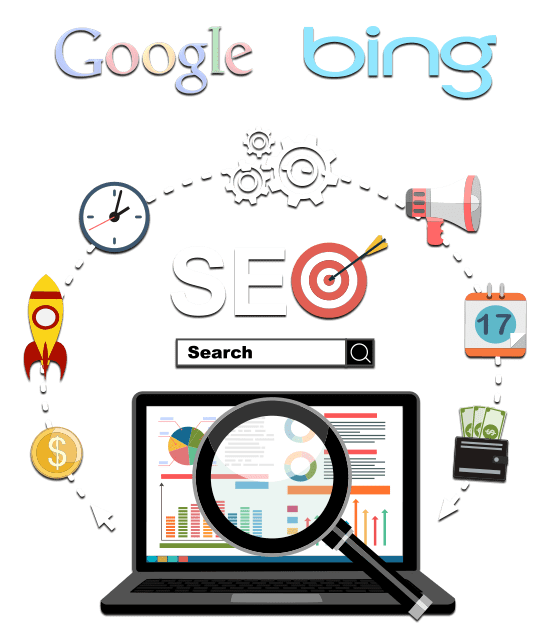 Search Engine Rankings