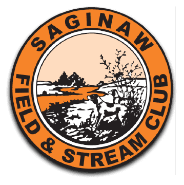 website-design-for-saginaw-logo